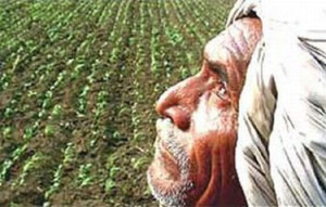 agri crisis